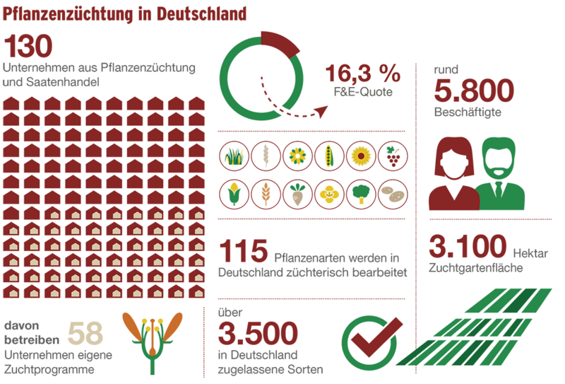 Zuechtung-in-Zahlen_BDP_PZ_klein.png Zuechtung-in-Zahlen_BDP_PZ_klein.png