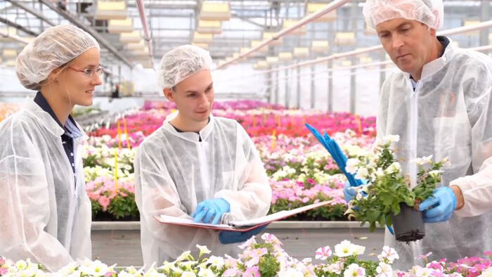 Beruf Gärtner/in - Anne und die Poinsettien Beruf Gärtner/in - Anne und die Poinsettien