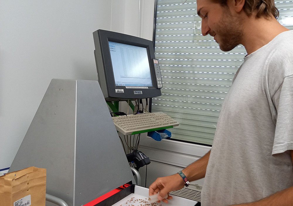 Bestimmen der Tausendkornmasse und des Hektolitergewichts einer Weizenprobe mithilfe eines Bildanalysegeräts Bestimmen der Tausendkornmasse und des Hektolitergewichts einer Weizenprobe mithilfe eines Bildanalysegeräts