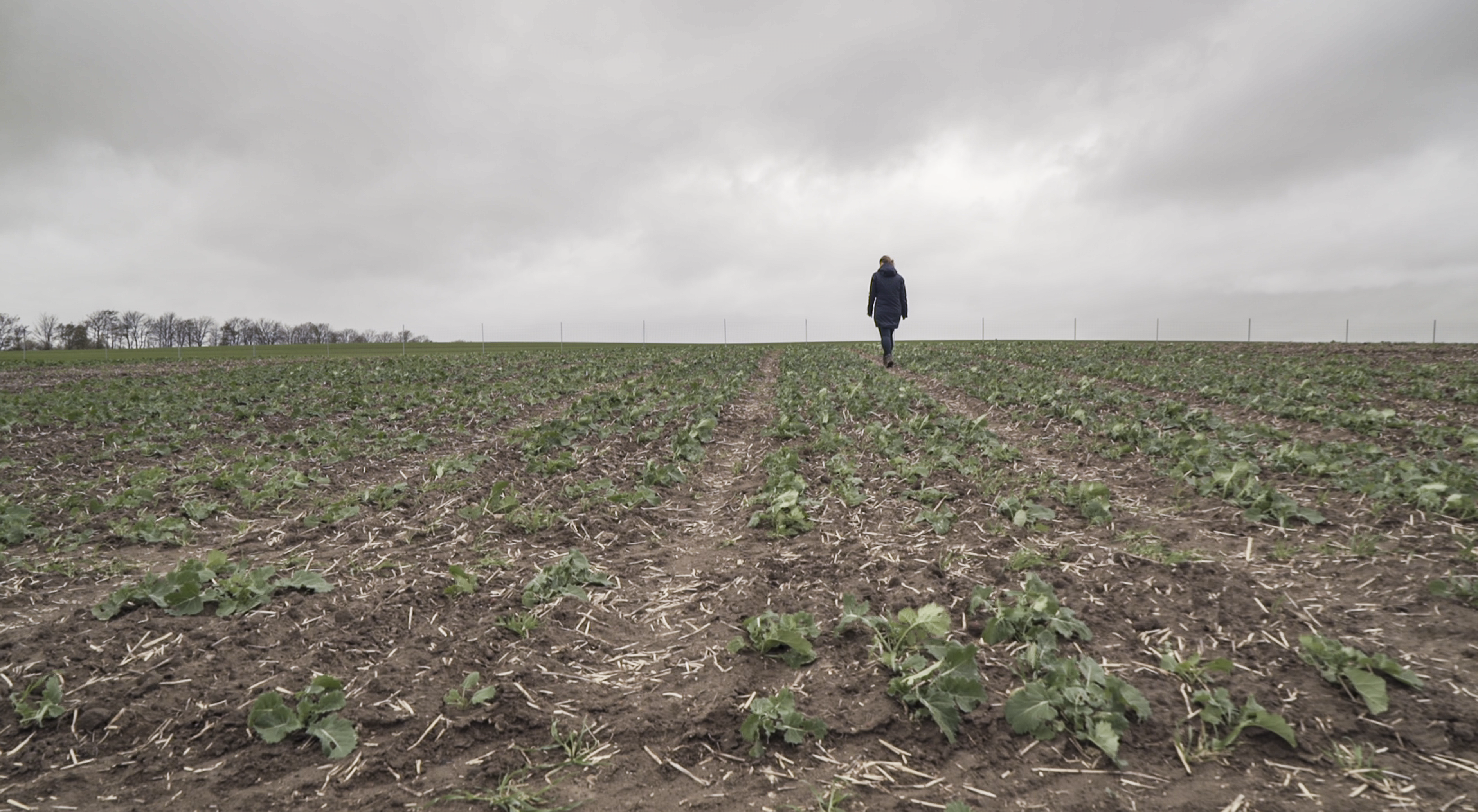 Parzellenbesichtigung